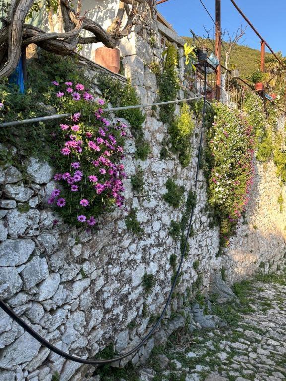 Feriehus Ana & Angelo House Himare Vuno